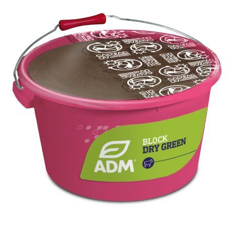 BLOCK DRY GREEN 25 kg