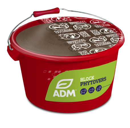 BLOCK PHYTOVERS Organic 25 kg