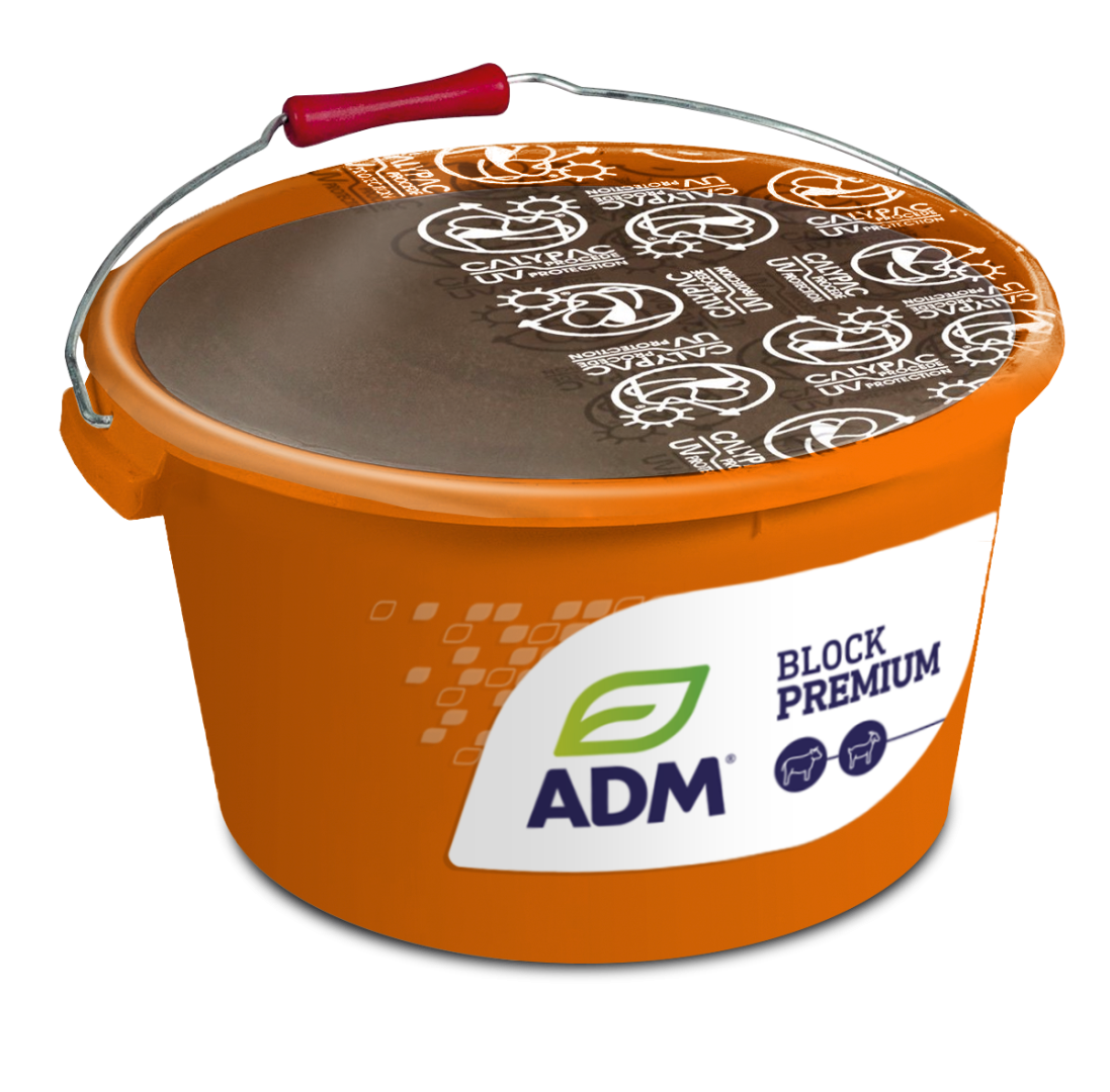 BLOCK PREMIUM 25 kg