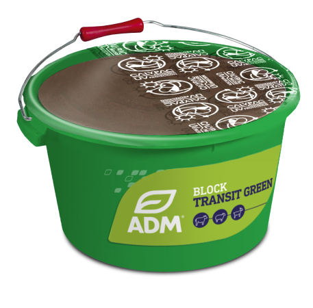 BLOCK TRANSIT GREEN 25 kg
